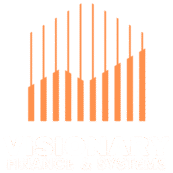 Visionary Finance & Systems